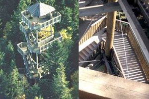 Ausflugsziele im Waldviertel in der Nähe der Tischlerei Neulinger - Aubergwarte