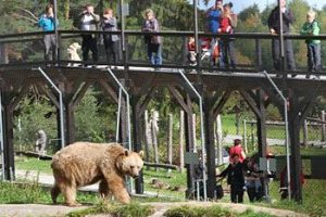 Ausflugsziele im Waldviertel in der Nähe der Tischlerei Neulinger - Bärenwald Arbesbach