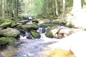 Ausflugsziele im Waldviertel in der Nähe der Tischlerei Neulinger - Höllfall Arbesbach