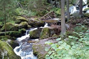 Ausflugsziele im Waldviertel in der Nähe der Tischlerei Neulinger - Lohnbachfall