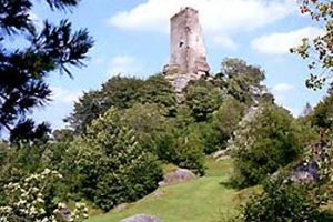 Ausflugsziele im Waldviertel in der Nähe der Tischlerei Neulinger - Burgruine Arbesbach