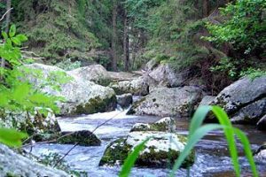 Ausflugsziele im Waldviertel in der Nähe der Tischlerei Neulinger - Schütt